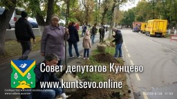 ​Программа по озеленению Кунцево утверждена!