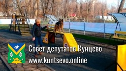 Депутаты провели публичные обсуждения строительства площадки для выгула собак Депутаты провели публичные обсуждения строительства площадки для выгула собак