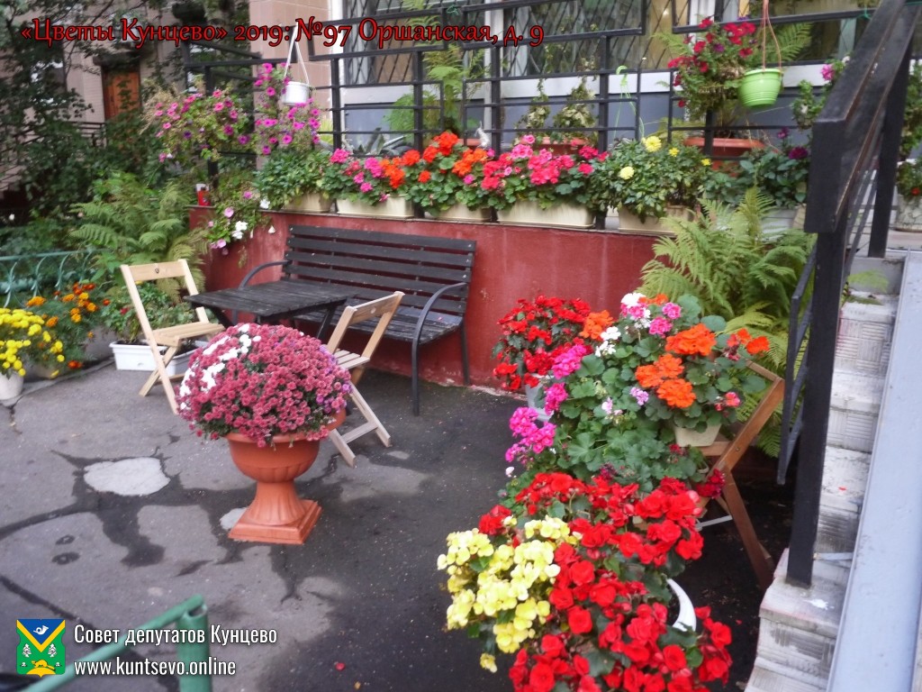 В Кунцево впервые прошёл конкурс палисадников "Цветы Кунцево"