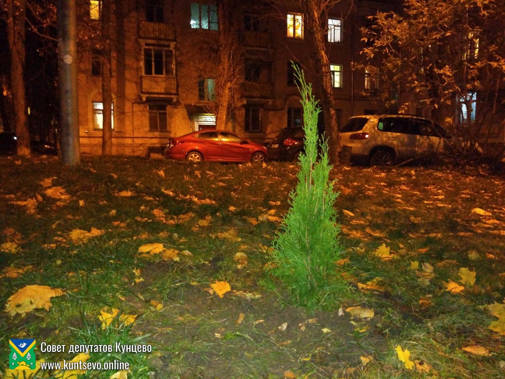 Провели посадки деревьев и кустарников в районе. 0 Провели посадки деревьев и кустарников в районе. 0