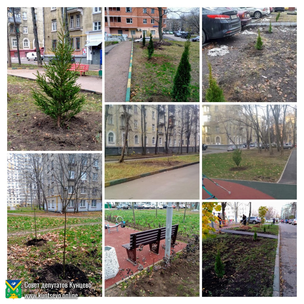 Провели посадки деревьев и кустарников в районе. Провели посадки деревьев и кустарников в районе.