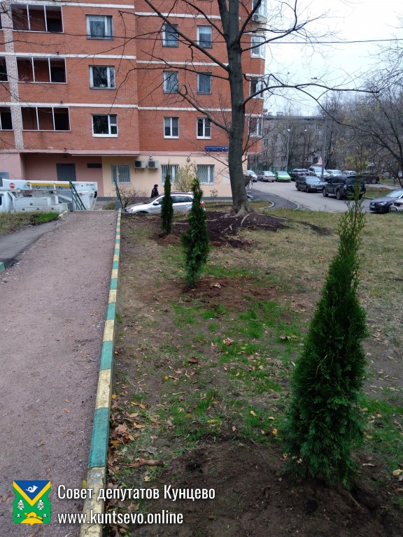 Провели посадки деревьев и кустарников в районе. 7 Провели посадки деревьев и кустарников в районе. 7