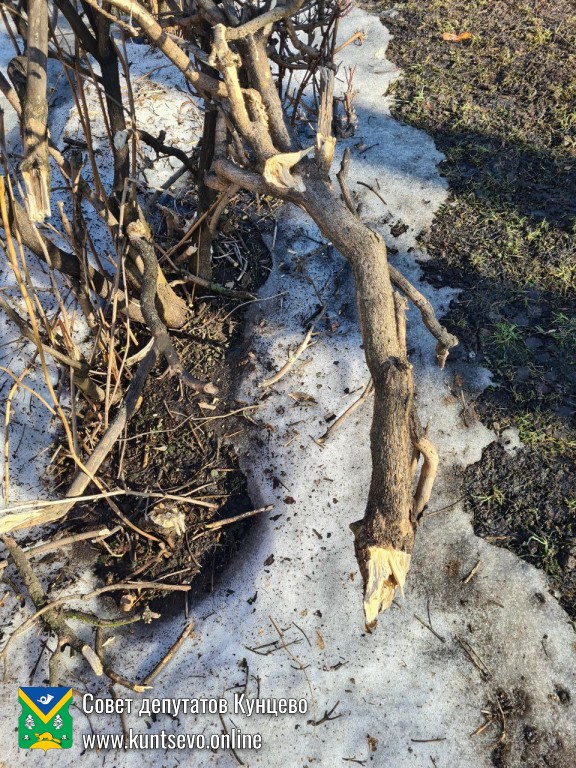 Общественная инспекция выявила нарушения на площади у Бреста 2 Общественная инспекция выявила нарушения на площади у Бреста 2