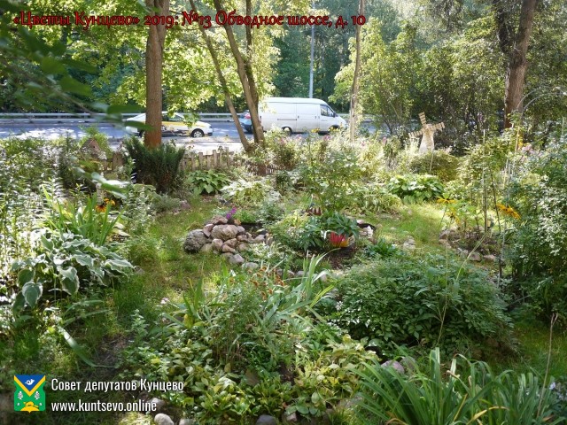 В Кунцево впервые прошёл конкурс палисадников "Цветы Кунцево" 8