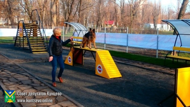 Депутаты провели публичные обсуждения строительства площадки для выгула собак