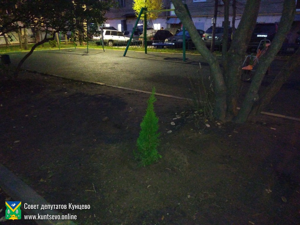 Провели посадки деревьев и кустарников в районе. 12 Провели посадки деревьев и кустарников в районе. 12