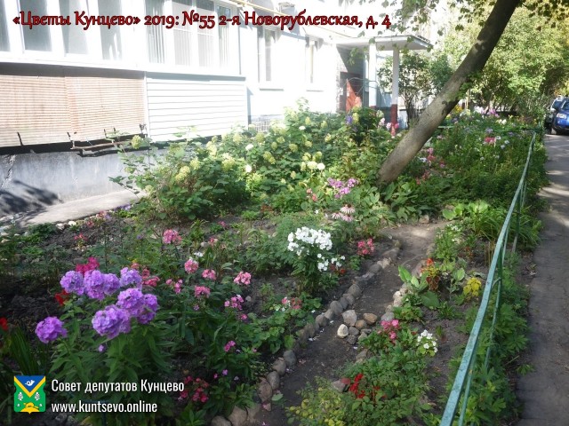 В Кунцево впервые прошёл конкурс палисадников "Цветы Кунцево" 11