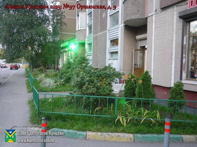 В Кунцево впервые прошёл конкурс палисадников "Цветы Кунцево" 5