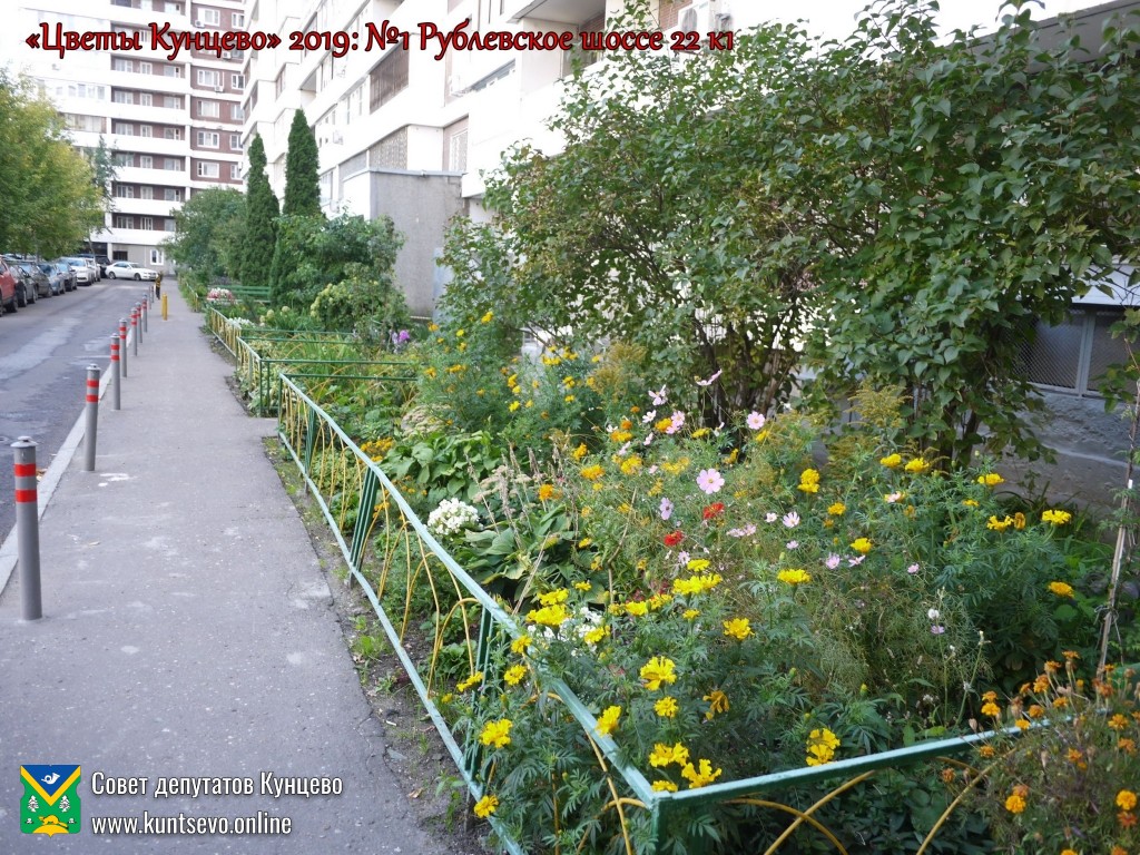Конкурс-смотр дворовых территорий "Цветы Кунцево" 2019