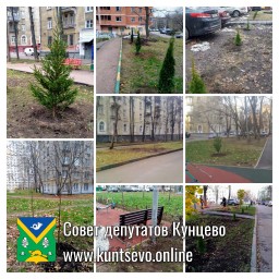 Провели посадки деревьев и кустарников в районе.