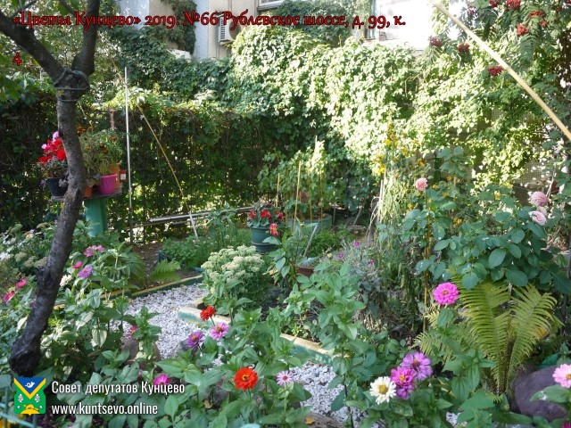 В Кунцево впервые прошёл конкурс палисадников "Цветы Кунцево" 17