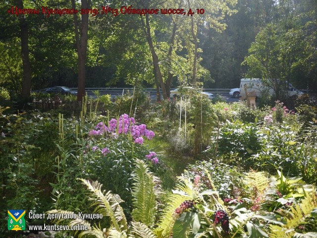 В Кунцево впервые прошёл конкурс палисадников "Цветы Кунцево" 9