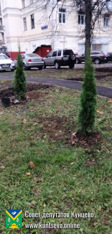 Провели посадки деревьев и кустарников в районе. 4 Провели посадки деревьев и кустарников в районе. 4