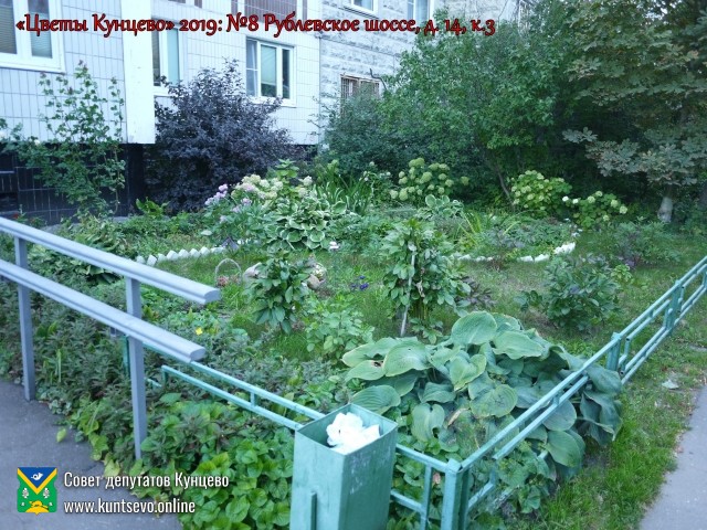 В Кунцево впервые прошёл конкурс палисадников "Цветы Кунцево" 21
