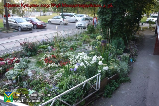 В Кунцево впервые прошёл конкурс палисадников "Цветы Кунцево" 15