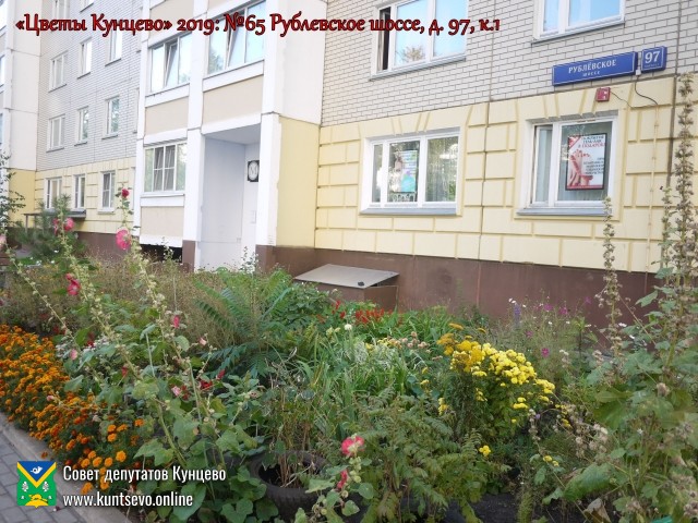 В Кунцево впервые прошёл конкурс палисадников "Цветы Кунцево" 13