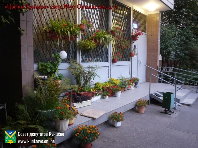 В Кунцево впервые прошёл конкурс палисадников "Цветы Кунцево" 6