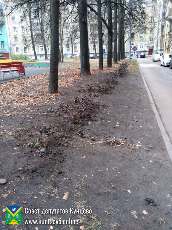 Провели посадки деревьев и кустарников в районе. 13 Провели посадки деревьев и кустарников в районе. 13