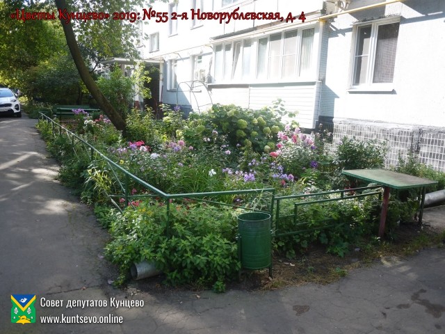 В Кунцево впервые прошёл конкурс палисадников "Цветы Кунцево" 10