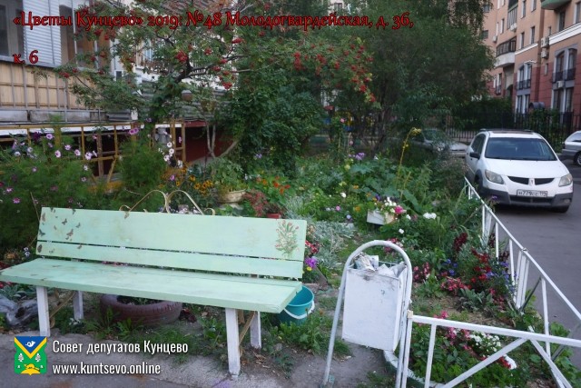 В Кунцево впервые прошёл конкурс палисадников "Цветы Кунцево" 14