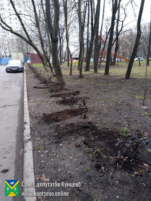 Провели посадки деревьев и кустарников в районе. 10 Провели посадки деревьев и кустарников в районе. 10