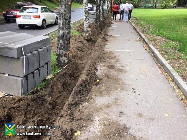 При благоустройстве на Обводном шоссе повреждены деревья 1