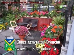 В Кунцево впервые прошёл конкурс палисадников "Цветы Кунцево" В Кунцево впервые прошёл конкурс палисадников "Цветы Кунцево"