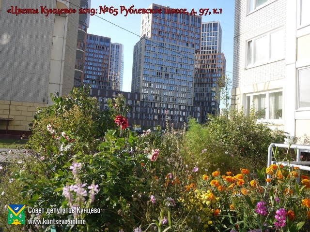 В Кунцево впервые прошёл конкурс палисадников "Цветы Кунцево" 12