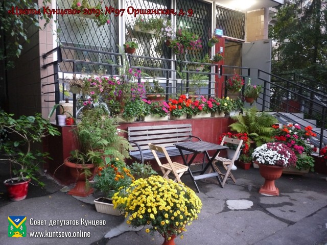 В Кунцево впервые прошёл конкурс палисадников "Цветы Кунцево" 7