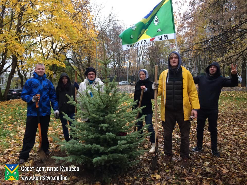 ​Программа по озеленению Кунцево утверждена! 0