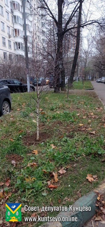 Провели посадки деревьев и кустарников в районе. 2 Провели посадки деревьев и кустарников в районе. 2